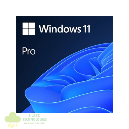 Microsoft Windows 11 Professional Single-User ESD License