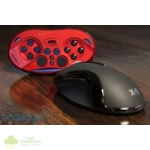 Shogun Bros. Chameleon X