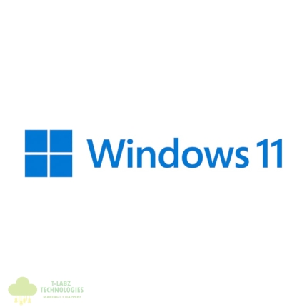 MICROSOFT WIN 11 PRO 64BIT DSP