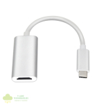 Gizzu 4K Type-C to HDMI Adapter Poly